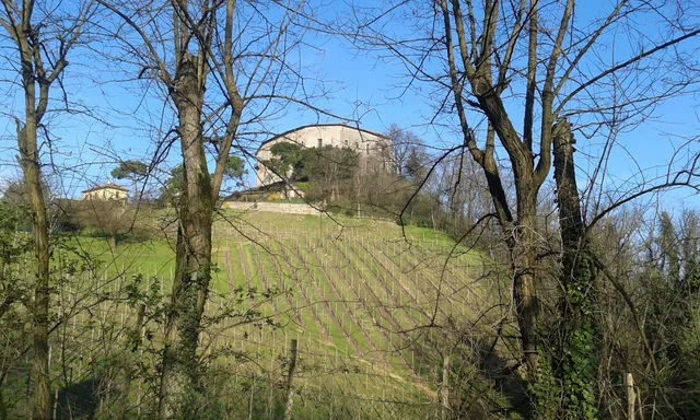 Rocca di Montalino