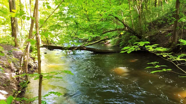 Rezerwat Przyrody "Piekiełko"