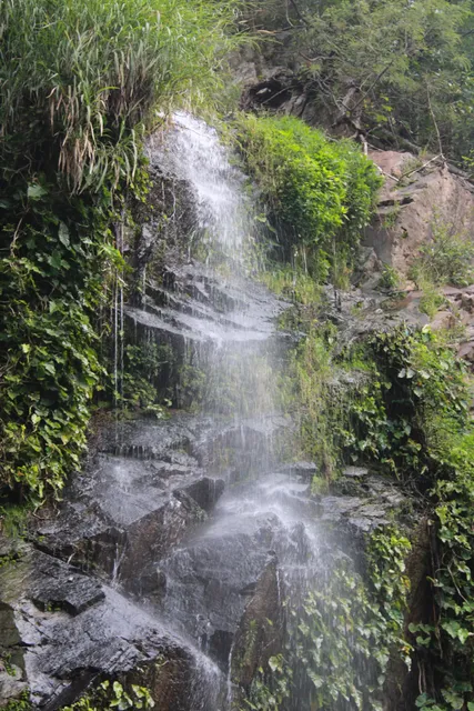 Trilha Ecológica da Cachoeira do Pinga
