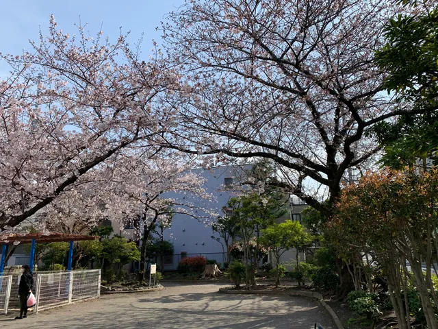 Wakamiya Park