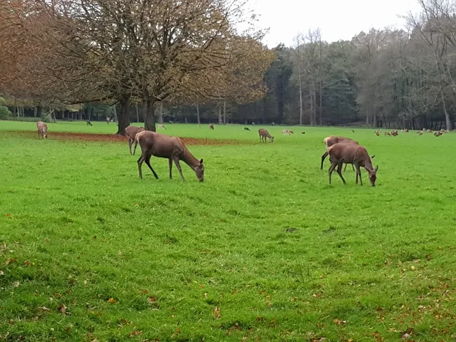 Team-Klettergarten Wildwald Vosswinkel