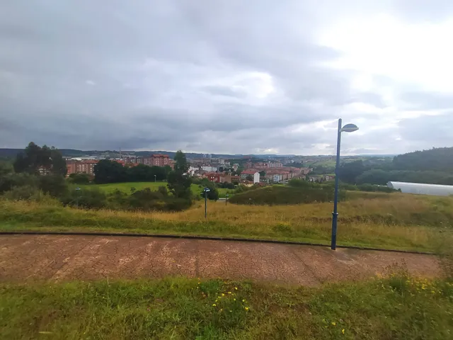 Bosque de La Grandiella