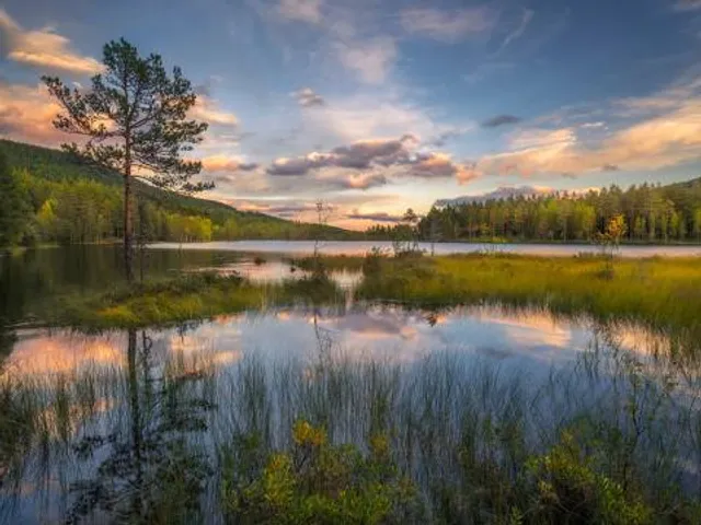 Kalishchenskoye Ozero