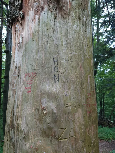 photo-3