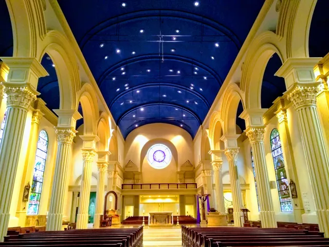 The Cathedral of the Immaculate Conception