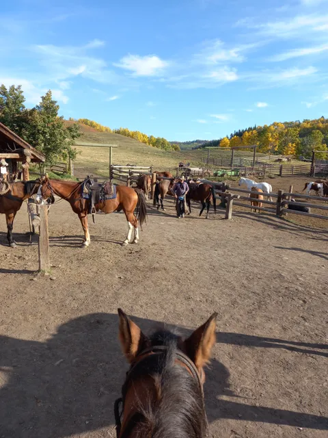 Anchor D Guiding & Outfitting Ltd.