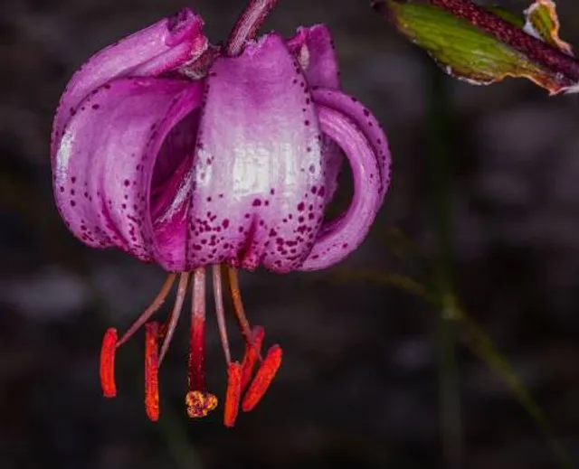 Mini Tank Bund Saroornagar
