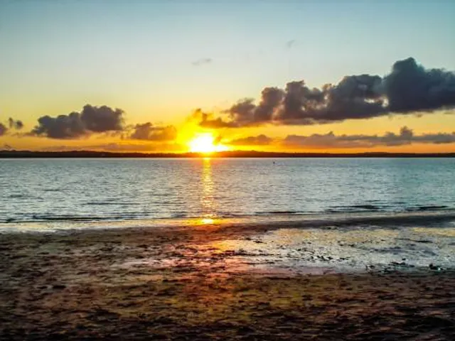 Point Chevalier Beach