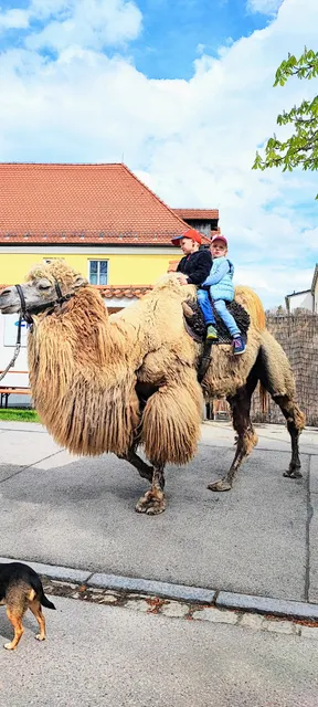 Türkheimer Töpfermarkt