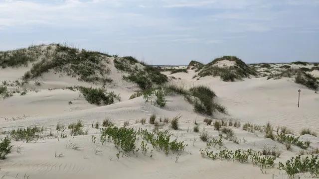 Pea Island National Wildlife Refuge