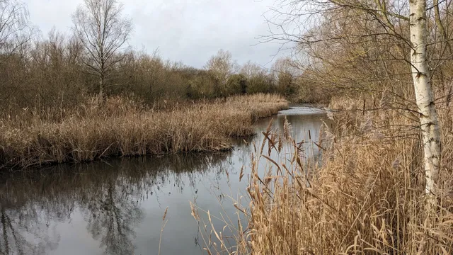 Lattersey Local Nature Reserve