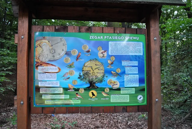 Park Leśny im. Powstańców Śląskich