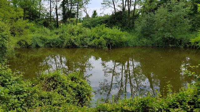 photo-3