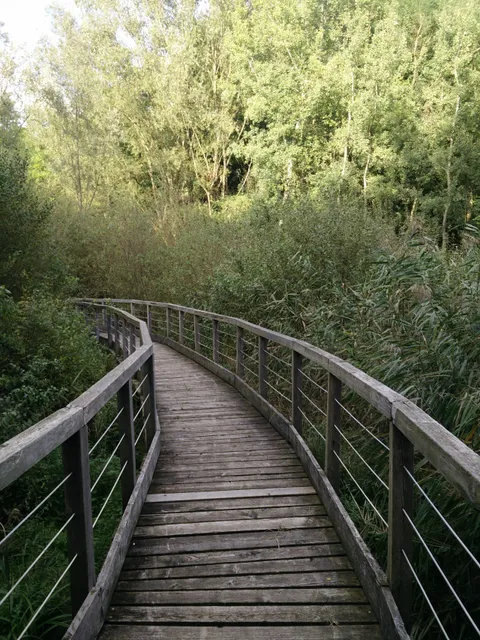 Biotopo di Lago Pudro