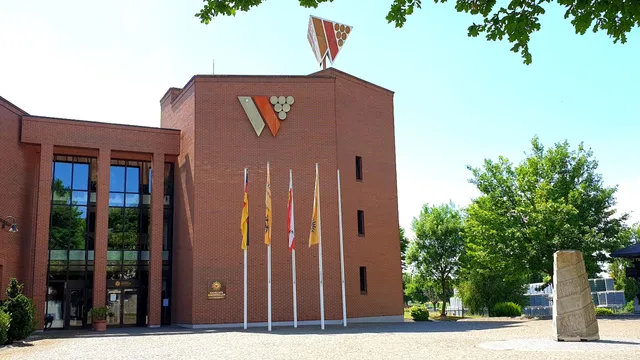 Badischer Winzerkeller