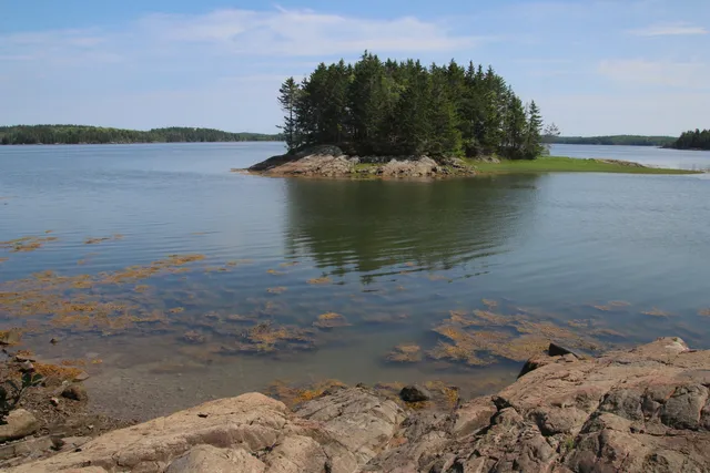 Cobscook Bay State Park