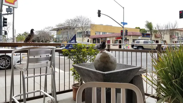 Plant Power Fast Food