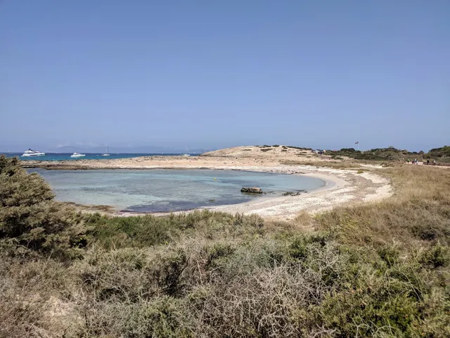 Platja de Ses Xalanes