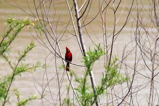 Stephen F. Austin State Park