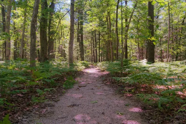 Anderson Woods Nature Preserve