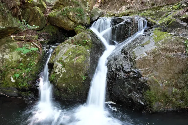 Kyoto Prefectural Rurikei Natural Park