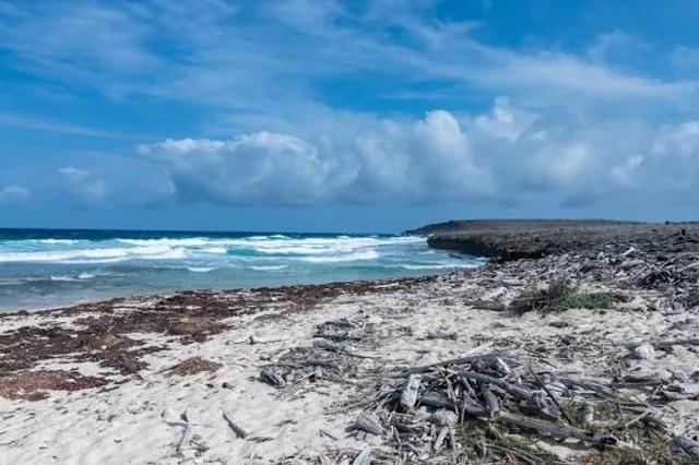 Colorado Point (Punta Basora)
