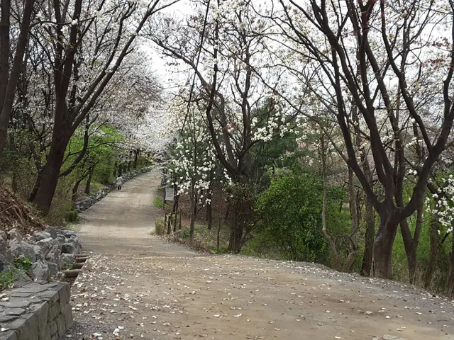 Daemosan City Environment Park