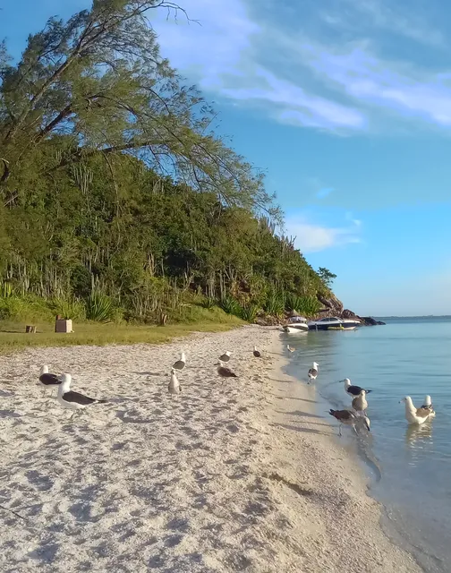 Fazenda Roberto Marinho