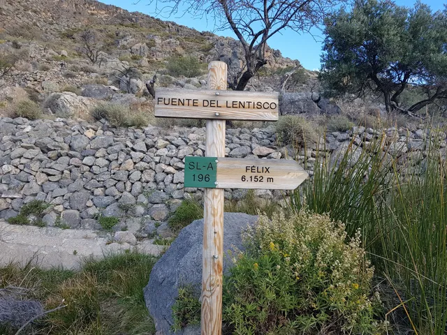 Fuente del lentisco