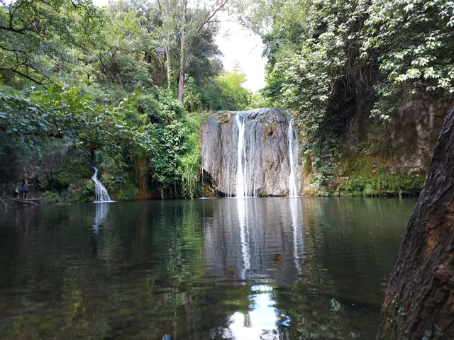 Els gorgs de les Planes d'Hostoles