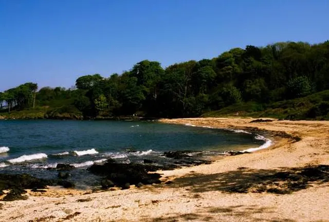 Crawfordsburn Country Park