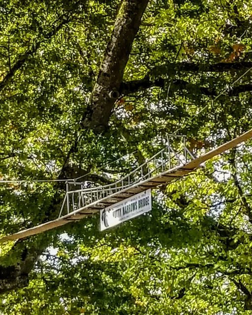 Nutty Narrows - Squirrel Bridges