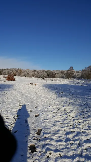 photo-2