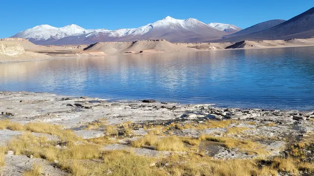 Laguna Verde