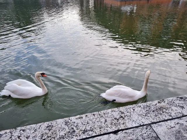 photo-1