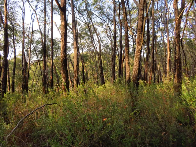 Giles Conservation Park