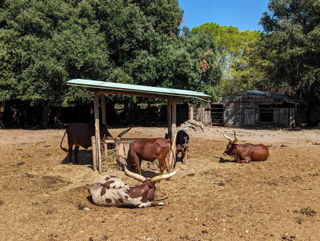 Itinerario Faunistico