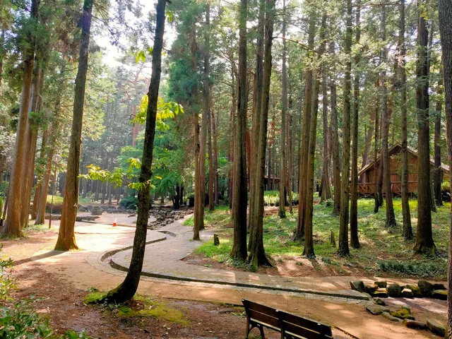 龍ケ崎市森林公園（アドベンチャーバレー龍ケ崎）