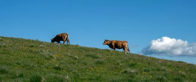 Station du Col de Légal