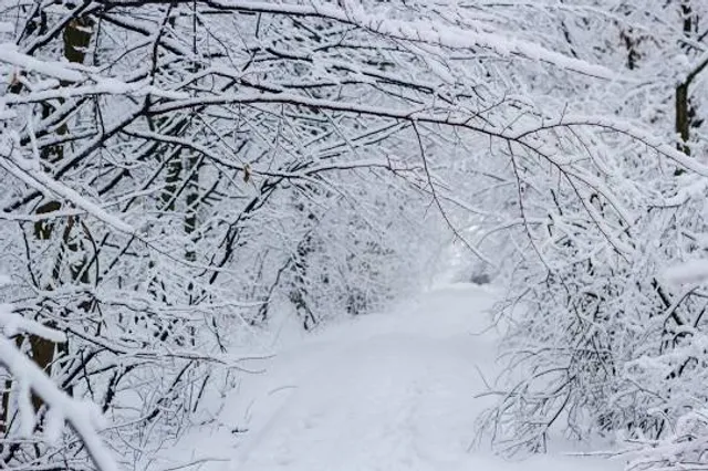 Réserve écologique de la Forêt-la-Blanche