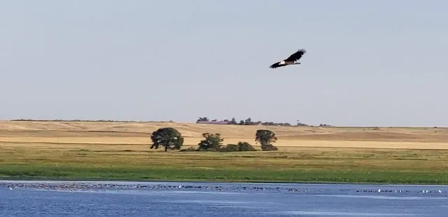 Lacreek National Wildlife Refuge