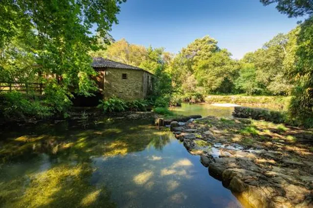 Tamuxe Kayak: aventura, naturaleza y deporte