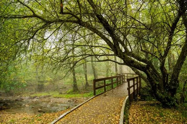 Ermita de Sant Martí de Montseny