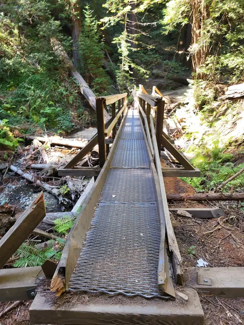 Alice Eastwood Group Campsite