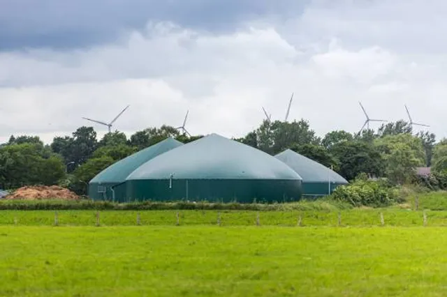 Buskersbos Natuurmonumenten
