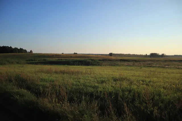 Rezerwat przyrody Nietlickie Bagno