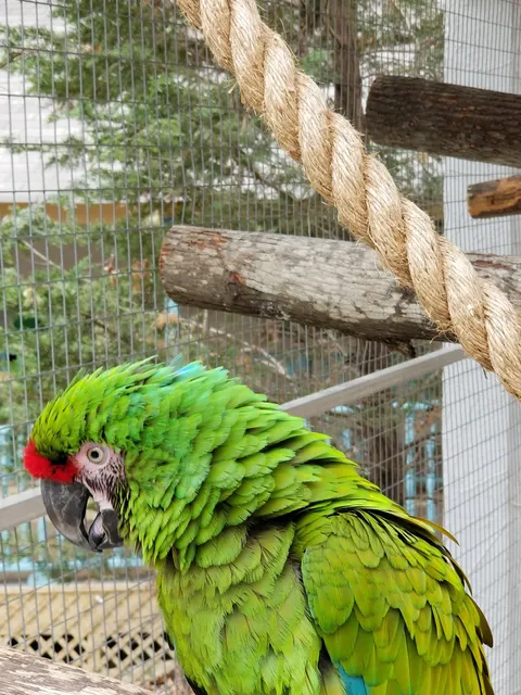 Enchanted Vista Gatlingburg Cabins