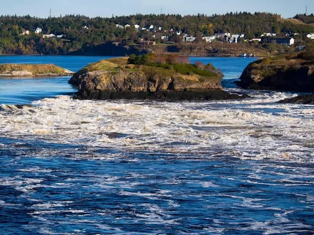 Reversing Falls