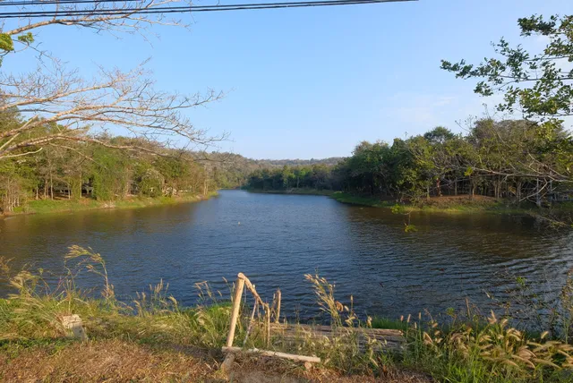 Phu Sing-Phu Pha Phung Forest Park