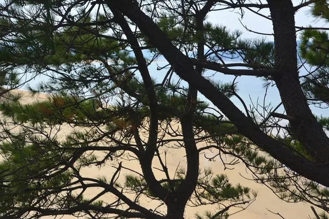 Uminonakamichi Seaside Park